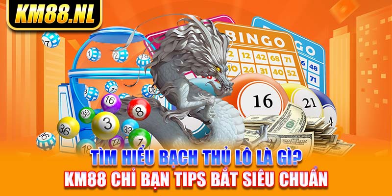 Tìm Hiểu Bạch Thủ Lô Là Gì? KM88 Chỉ Bạn Tips Bắt Siêu Chuẩn