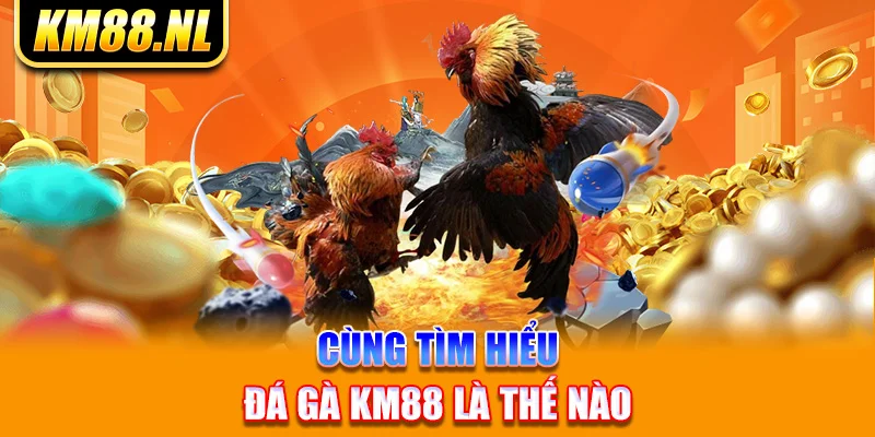 Cùng tìm hiểu đá gà KM88 là thế nào