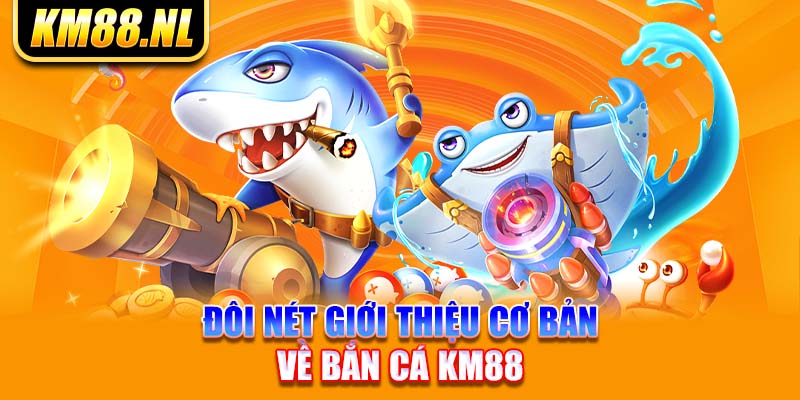 Đôi nét giới thiệu cơ bản về bắn cá KM88