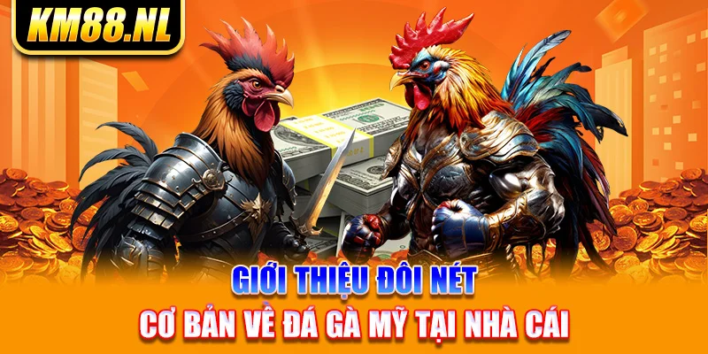 Giới thiệu đôi nét cơ bản về đá gà Mỹ tại nhà cái