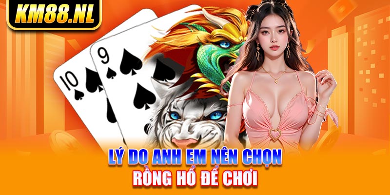 Lý do anh em nên chọn rồng hổ để chơi