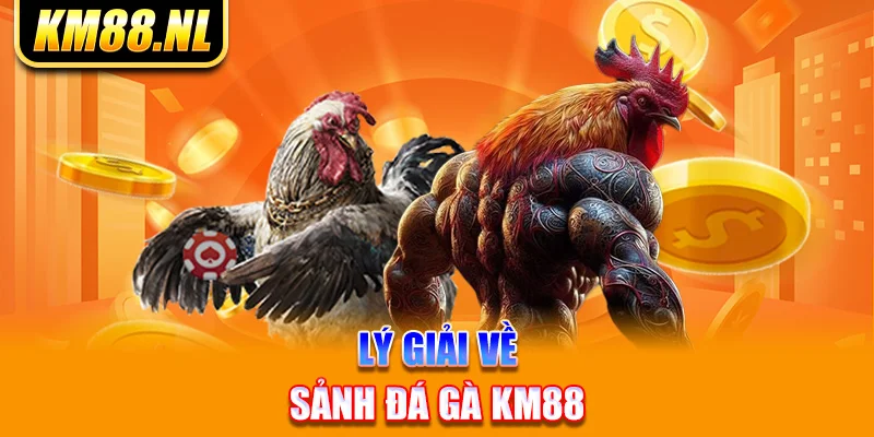 Lý giải về sảnh đá gà KM88