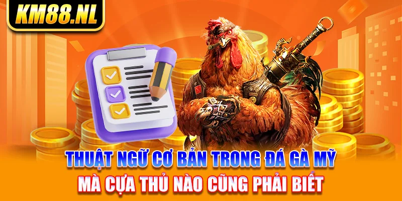 Thuật ngữ cơ bản trong đá gà Mỹ mà cựa thủ nào cũng phải biết