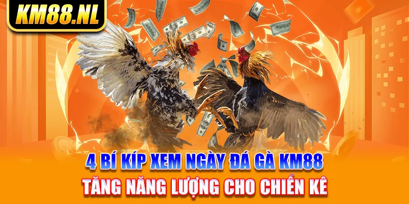 4 Bí Kíp Xem Ngày Đá Gà KM88 Tăng Năng Lượng Cho Chiến Kê