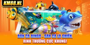 Bắn Cá Bingo - Săn Cá Là Ghiền, Rinh Thưởng Cực Khủng!