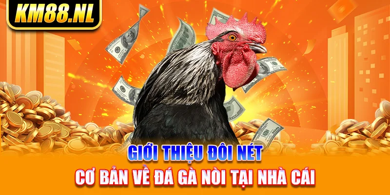 Giới thiệu đôi nét cơ bản về đá gà nòi tại nhà cái