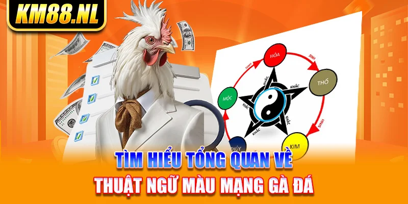 tìm hiểu tổng quan về thuật ngữ màu mạng gà đá 