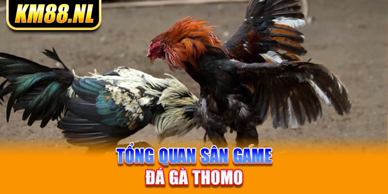 Tổng quan sân game đá gà Thomo