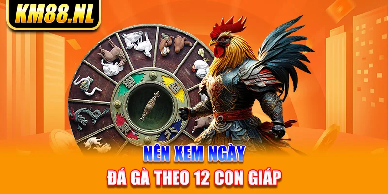 Nên xem ngày đá gà theo 12 con giáp