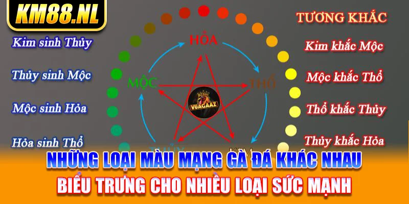 những loại màu mạng gà đá khác nhau biểu trưng cho nhiều loại sức mạnh 