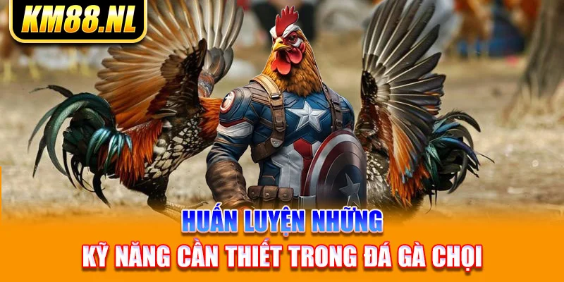 Huấn luyện những kỹ năng cần thiết trong đá gà chọi