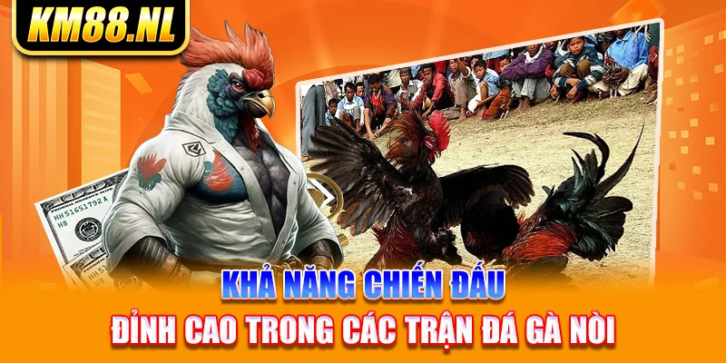 Khả năng chiến đấu đỉnh cao trong các trận đá gà nòi 