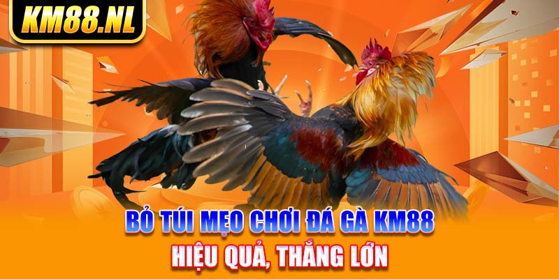 Bỏ Túi Mẹo Chơi Đá Gà KM88 Hiệu Quả, Thắng Lớn