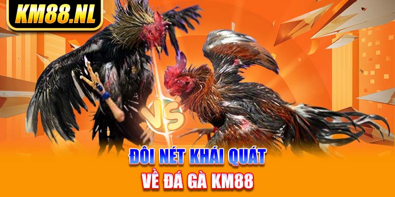 Đôi nét khái quát về đá gà KM88