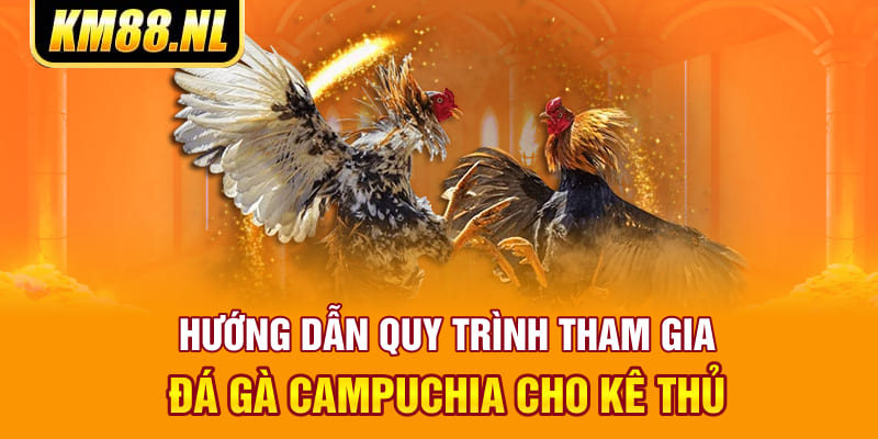 Hướng dẫn quy trình tham gia đá gà Campuchia cho kê thủ