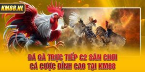 Đá Gà Trực Tiếp C2 Sân Chơi Cá Cược Đỉnh Cao Tại KM88