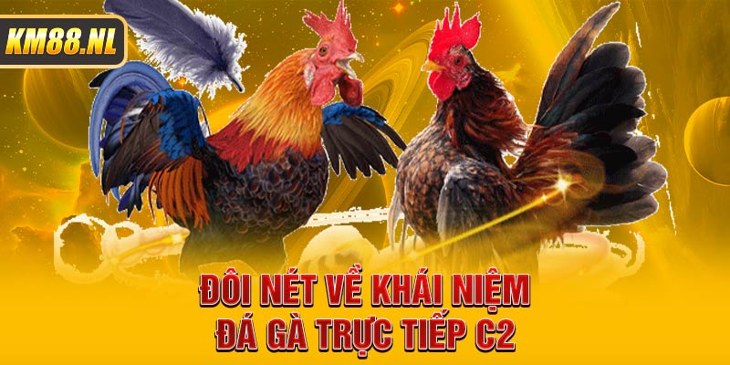 Đôi nét về khái niệm đá gà trực tiếp C2