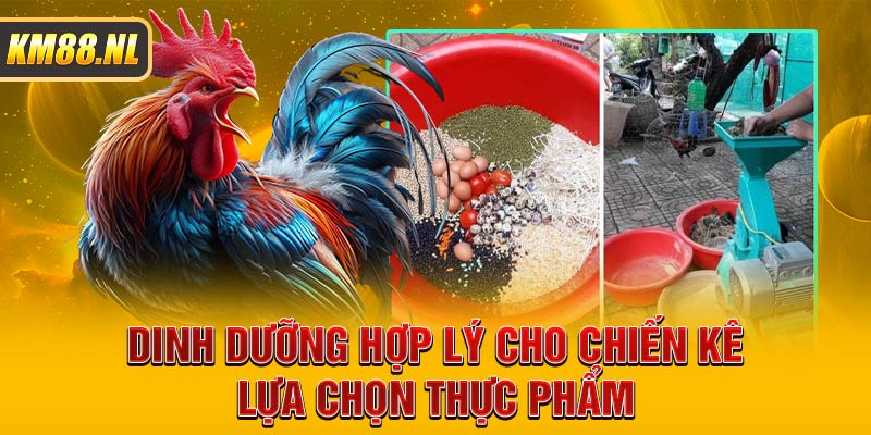 Dinh dưỡng hợp lý cho chiến kê lựa chọn thực phẩm