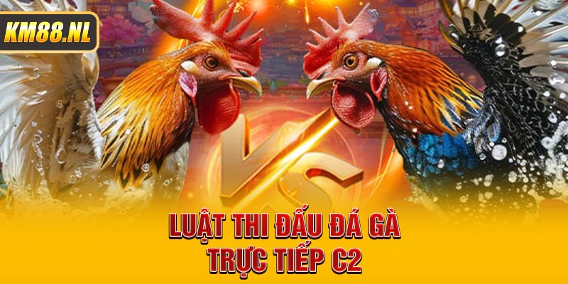 Luật thi đấu đá gà trực tiếp C2